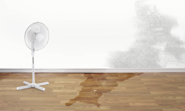 Sewage cleanup and water damage restoration in Osawatomie, KS