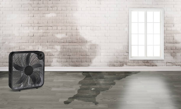 Best 24-hour water damage restoration  in Osawatomie, KS