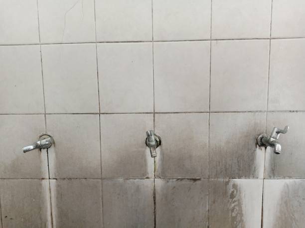 Best Water damage cleanup near me  in Osawatomie, KS