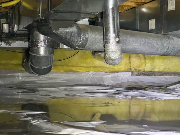 Best Professional water damage repair  in Osawatomie, KS