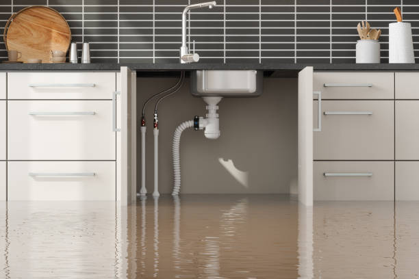 Best Flood damage cleanup  in Osawatomie, KS